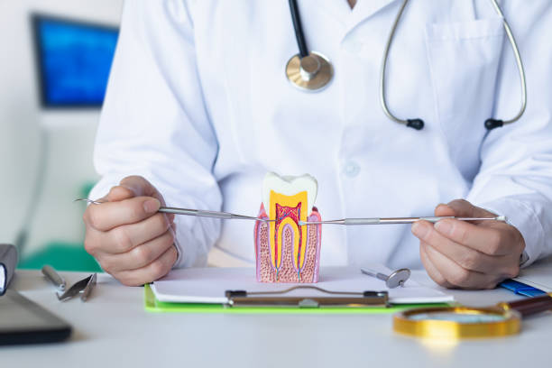 Best Emergency Pediatric Dental Care in Dland, MI